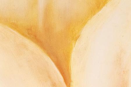 Фрагмент Магический цветок 1