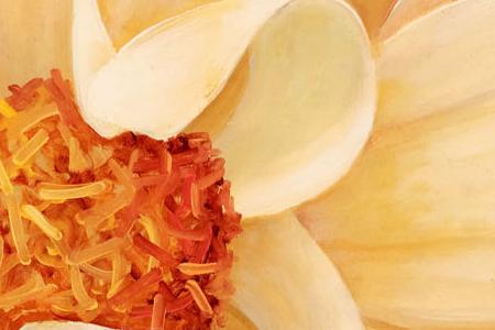 Фрагмент Магический цветок 2