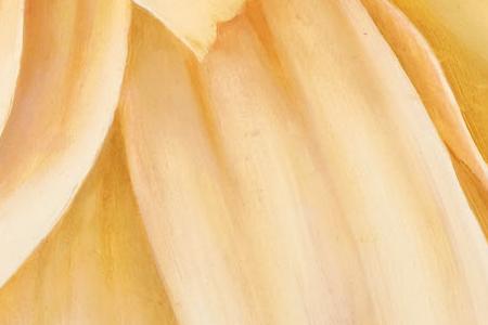 Фрагмент Магический цветок 2