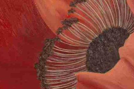 Фрагмент Мак 2