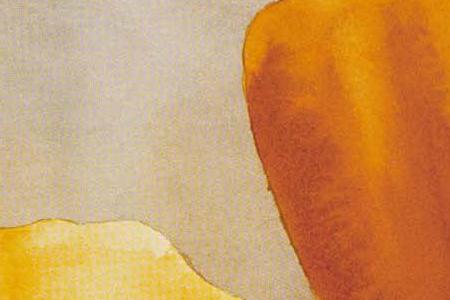 Фрагмент Маки 2