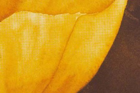 Фрагмент Маки 2