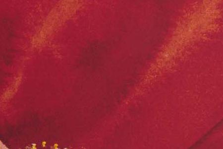 Фрагмент Маки 2