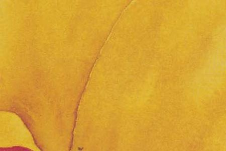 Фрагмент Маки