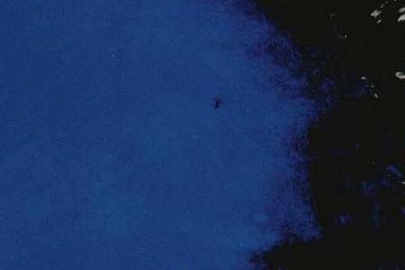 Фрагмент MAO с синим лицом на зеленом фоне