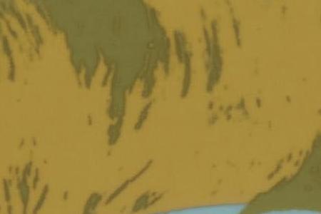 Фрагмент MARILYN на бледно сиреневом