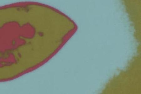 Фрагмент MARILYN на бледно сиреневом