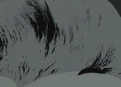 Фрагмент MARILYN на черно белом