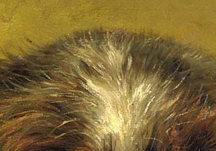 Фрагмент MARTIN A TERRIER