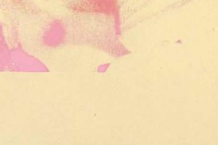 Фрагмент MICHAEL JACKSON портрет на желтом фоне