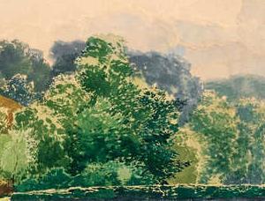 Фрагмент -monrepos-park-finland