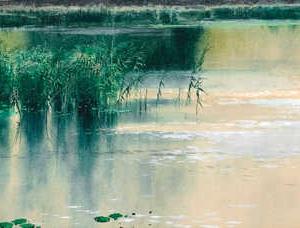 Фрагмент -monrepos-park-finland