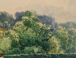 Фрагмент MONREPOS PARK