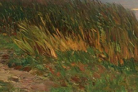 Фрагмент MOONRISE