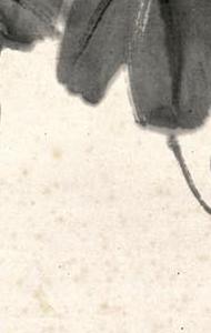 Фрагмент MORNING GLORY