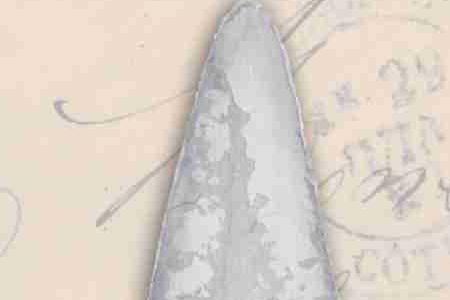 Фрагмент Морская звезда