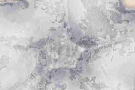 Фрагмент Морская звезда