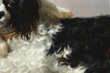 Фрагмент MR. J.  A. SANDILAND S KING CHARLES SPANIELS