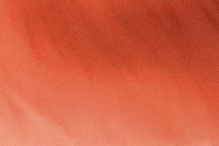 Фрагмент Mystic Poppies