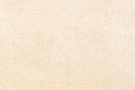 Фрагмент На берегу моря. 1905.