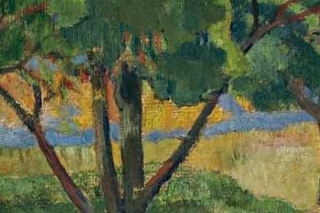 Фрагмент На природе