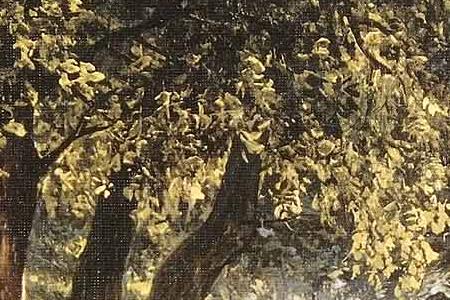 Фрагмент На тропе.