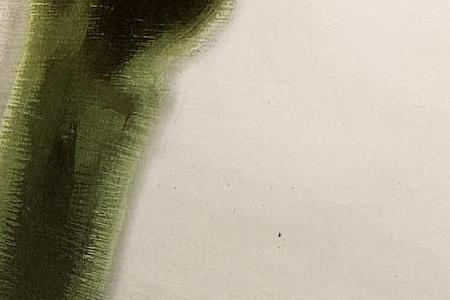 Фрагмент Нарцисы