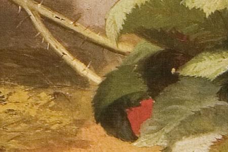 Фрагмент Натюрморт с цветами и книгой.