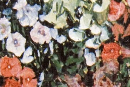 Фрагмент Натюрморт.