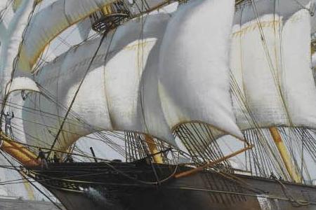 Фрагмент NECK AND NECK - THE ARIEL AND TAEPING