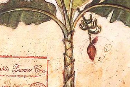 Фрагмент No 01