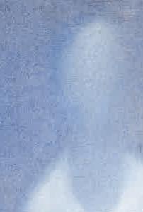 Фрагмент Nude