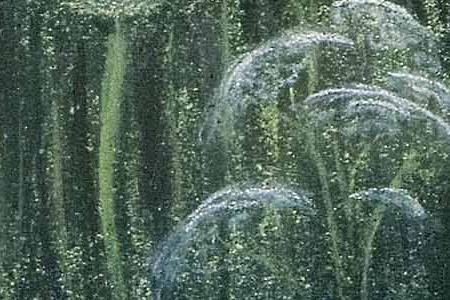 Фрагмент Одуванчики.1981.