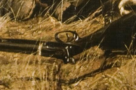 Фрагмент Охотники на привале.1871.