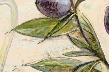 Фрагмент OLIVA