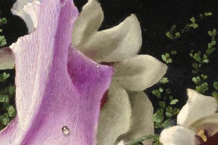 Фрагмент ОРхидеи в голубом горшке