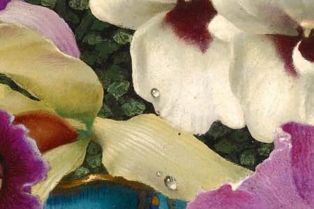 Фрагмент ОРхидеи в голубом горшке