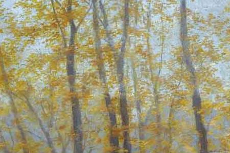 Фрагмент ОСЕННИЙ ПАРК