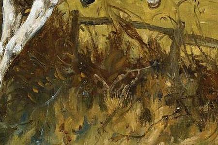 Фрагмент OVER THE FENCE