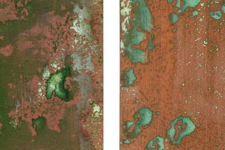 Фрагмент OXIDATION PAINTING DIPTYCH