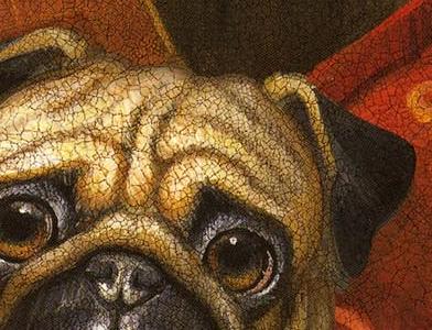 Фрагмент Pampered Pug