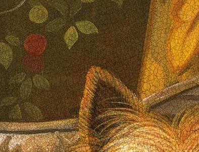 Фрагмент Pampered Yorki