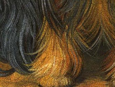 Фрагмент Pampered Yorki