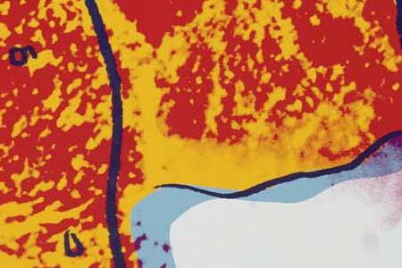 Фрагмент ПАНДА красная