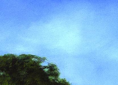 Фрагмент Papaveri val D'orzia