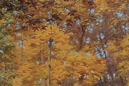 Фрагмент ПАРК ОСЕНЬЮ