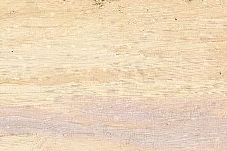 Фрагмент PEASANTS ON A COUNTRY ROAD