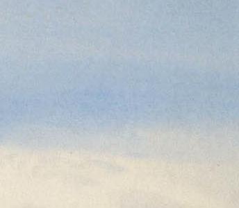 Фрагмент Peregrine Falcon