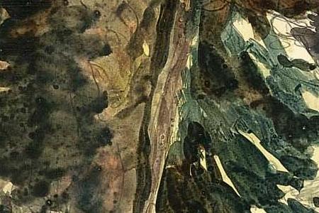 Фрагмент PETERHOF