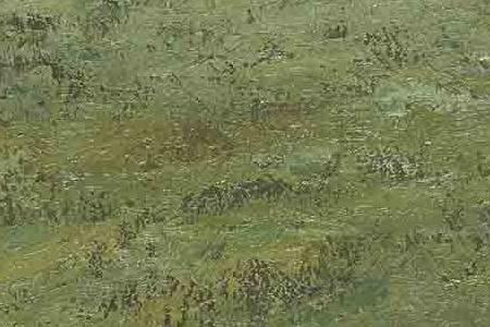 Фрагмент Пейзаж